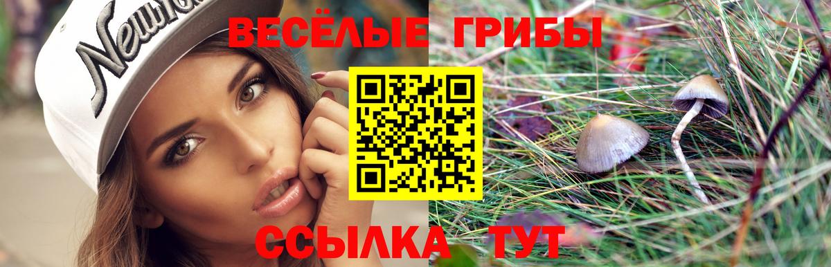 Галлюциногенные грибы Cubensis  Галлюциногенные грибы Magic Shrooms  Еманжелинск  Вход с VPN 